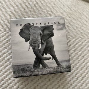 Chantecaille Luminescent Eye Shade Elephant